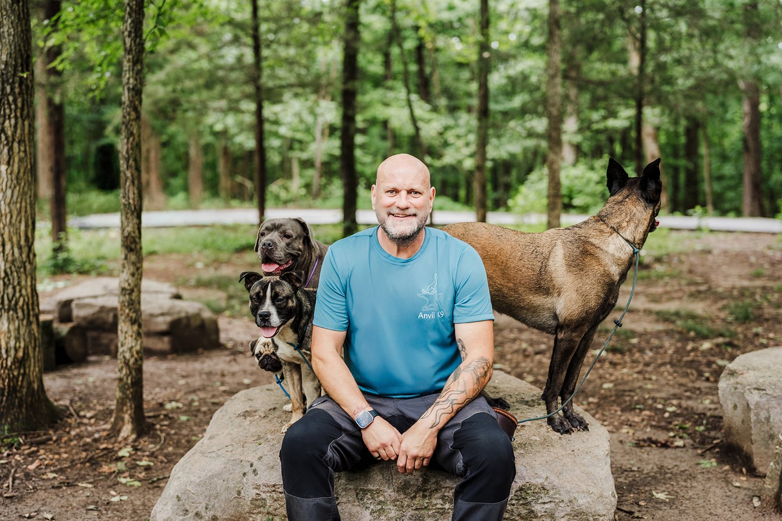 Anvil K9 private dog training Rossville GA