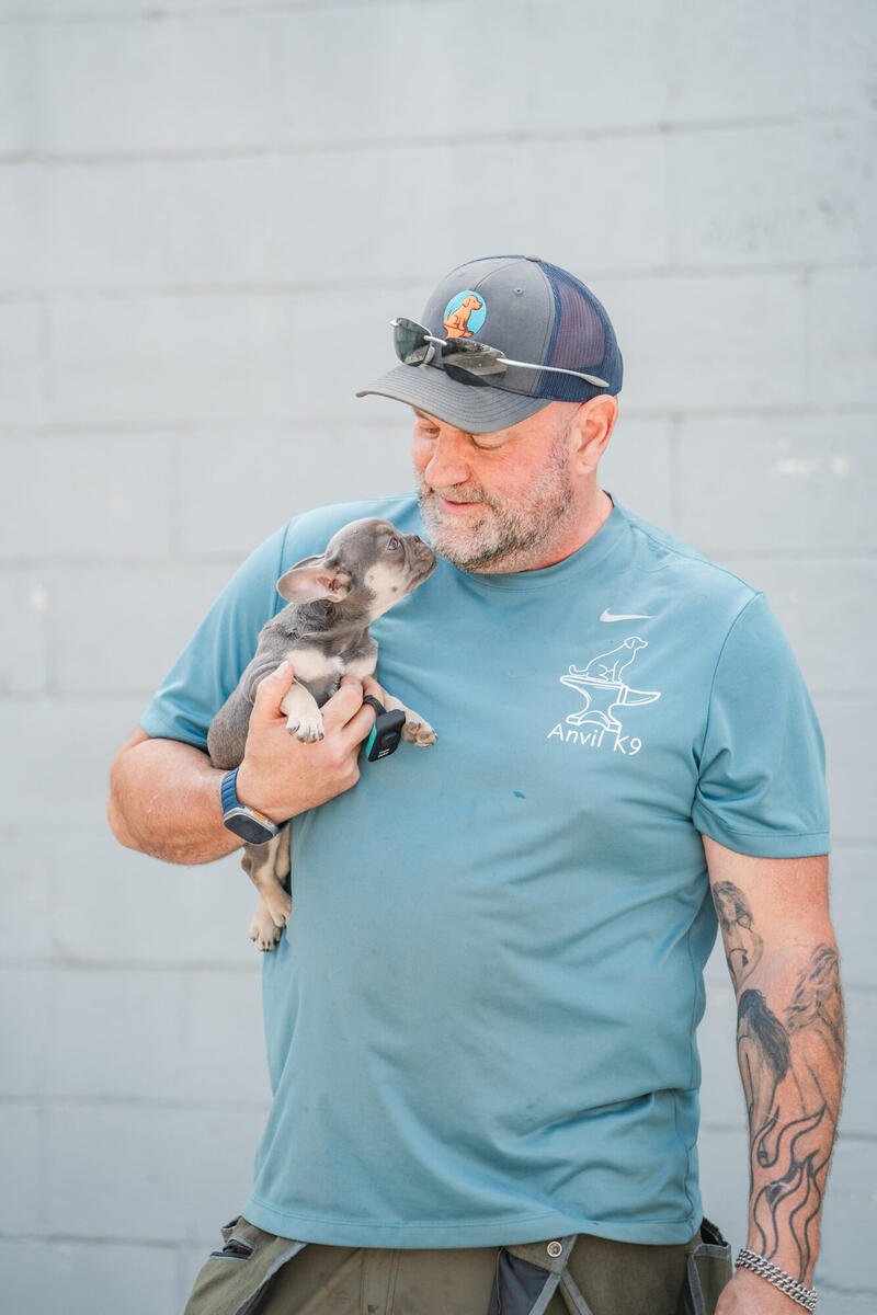 Board and train dog program