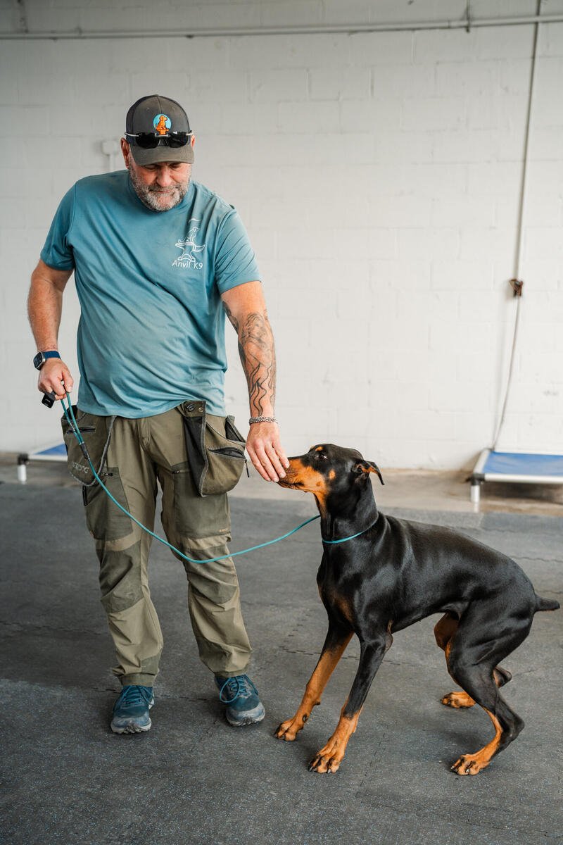 Professional dog training Chattanooga